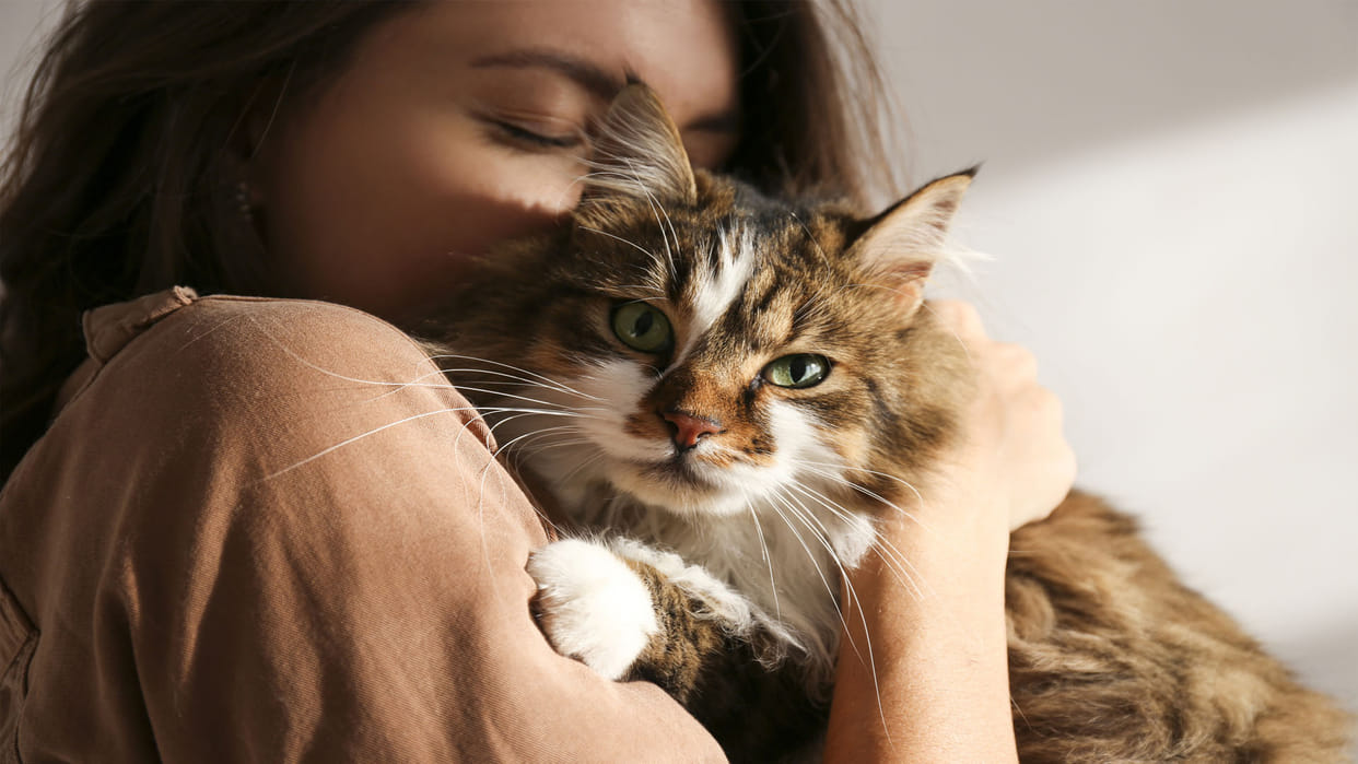 why humans life longer than animals scientists reveal mystery