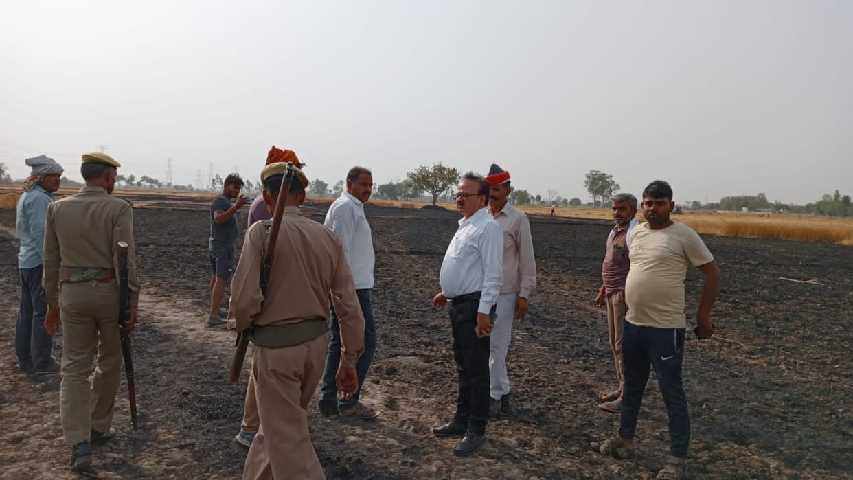53 bighas of crop burnt in three villages