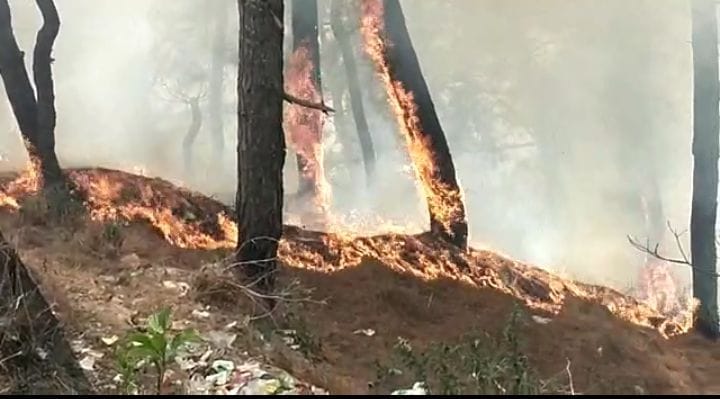 Fire at Almora And Bageshwar