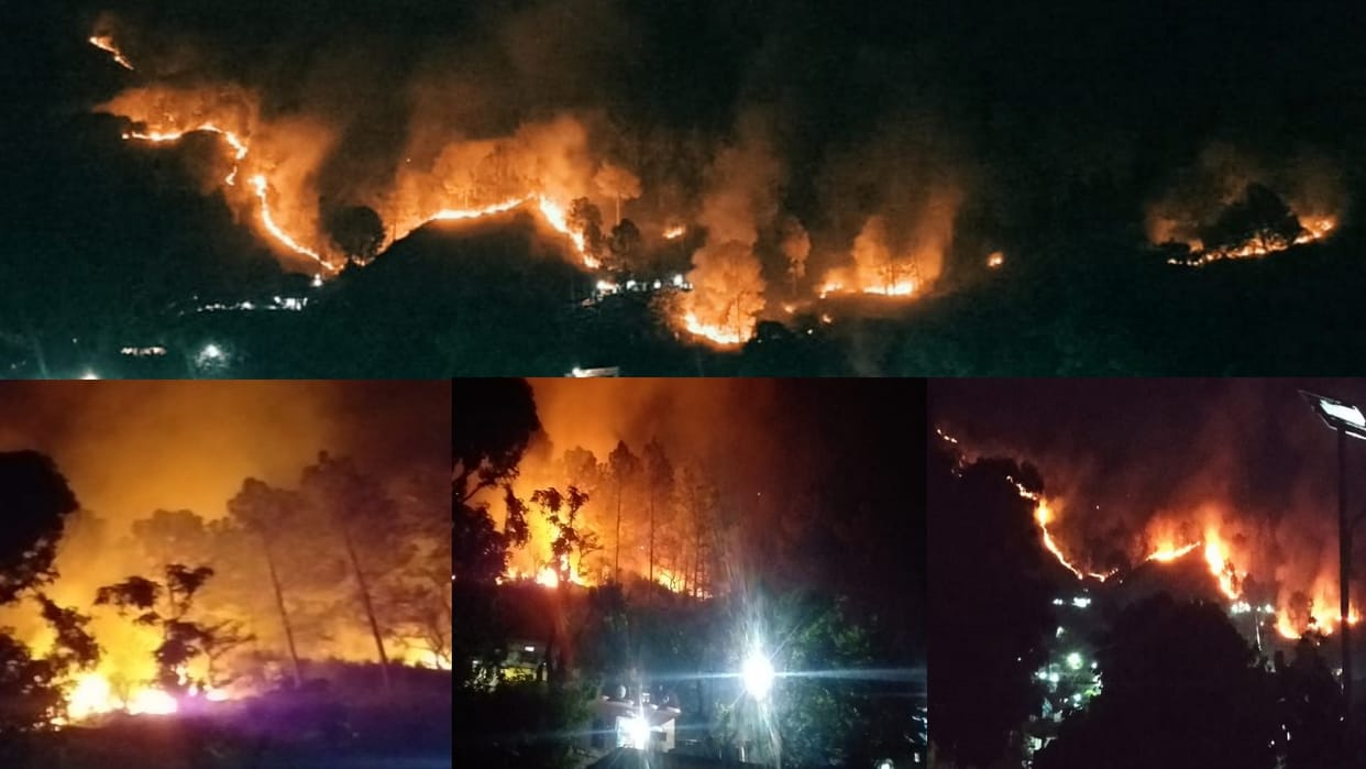 Fire in forests at 27 places in 24 hours in Uttarakhand, See Photos