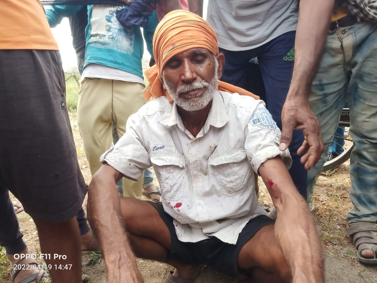 injured,leopard,kisaan