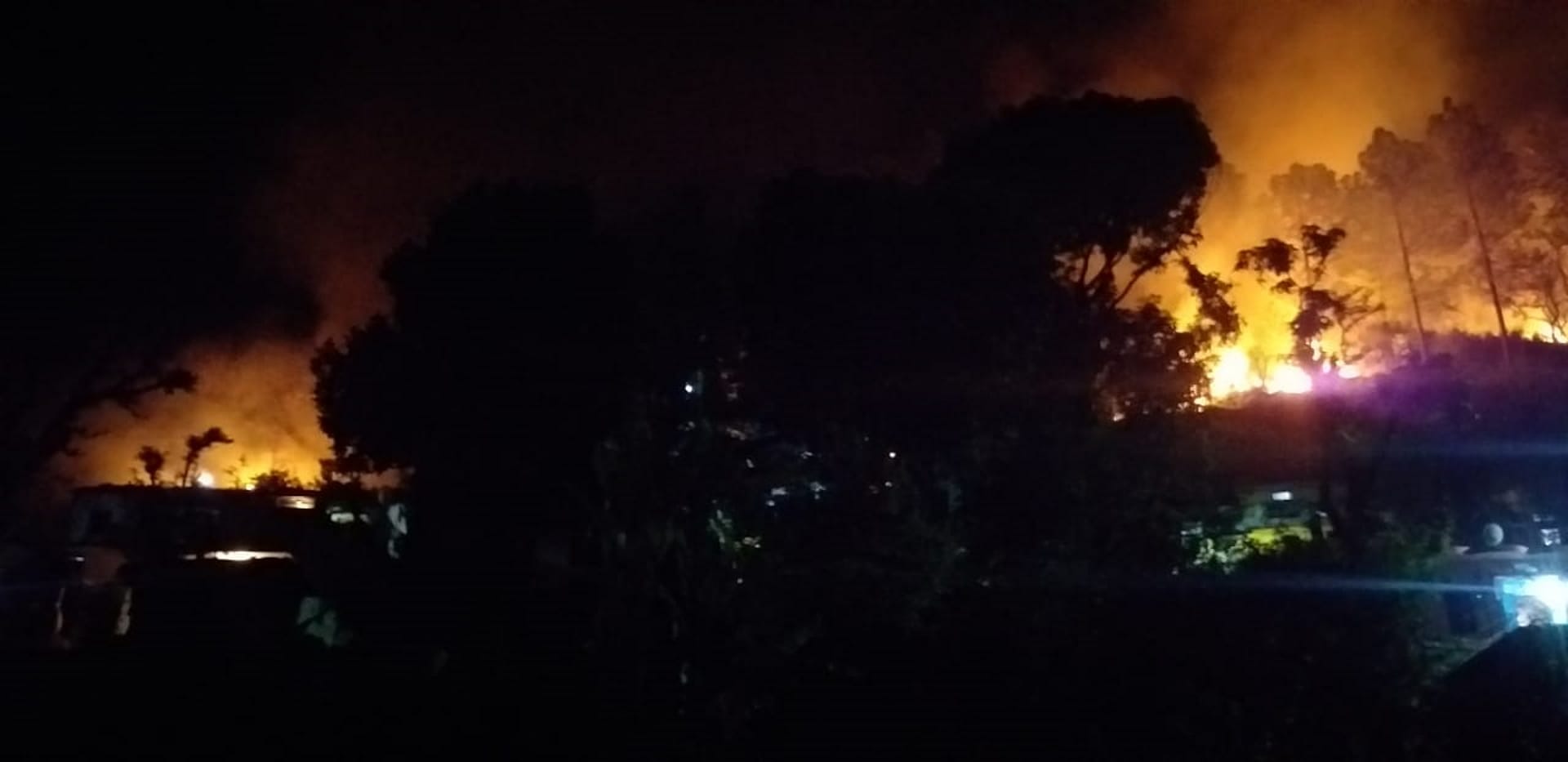Fire in forests at 27 places in 24 hours in Uttarakhand, See Photos