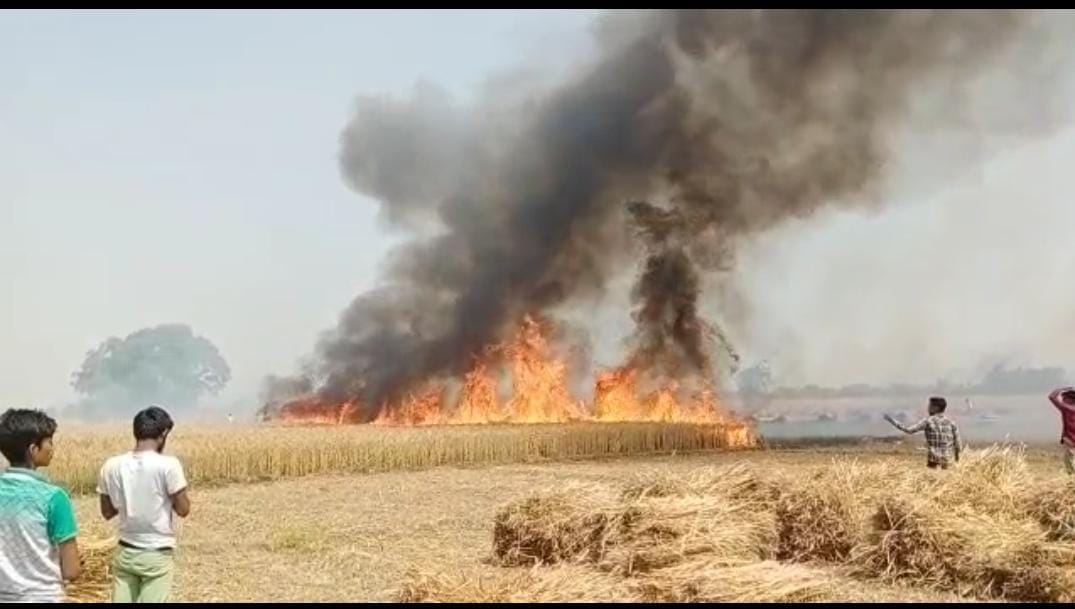 13 bighas of wheat crop burnt due to fire