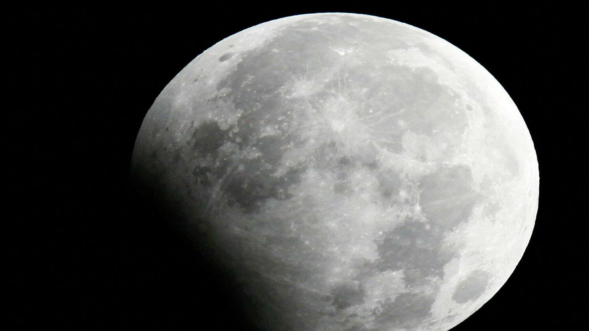 Plant On Moon Scientists successfully grow plants in moon soil for first time