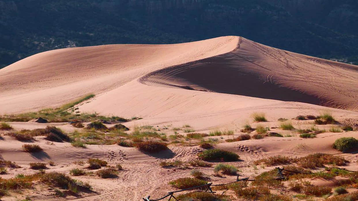 World’s Hottest Place Where People May Die Due To Extreme Hot Weather News In Hindi