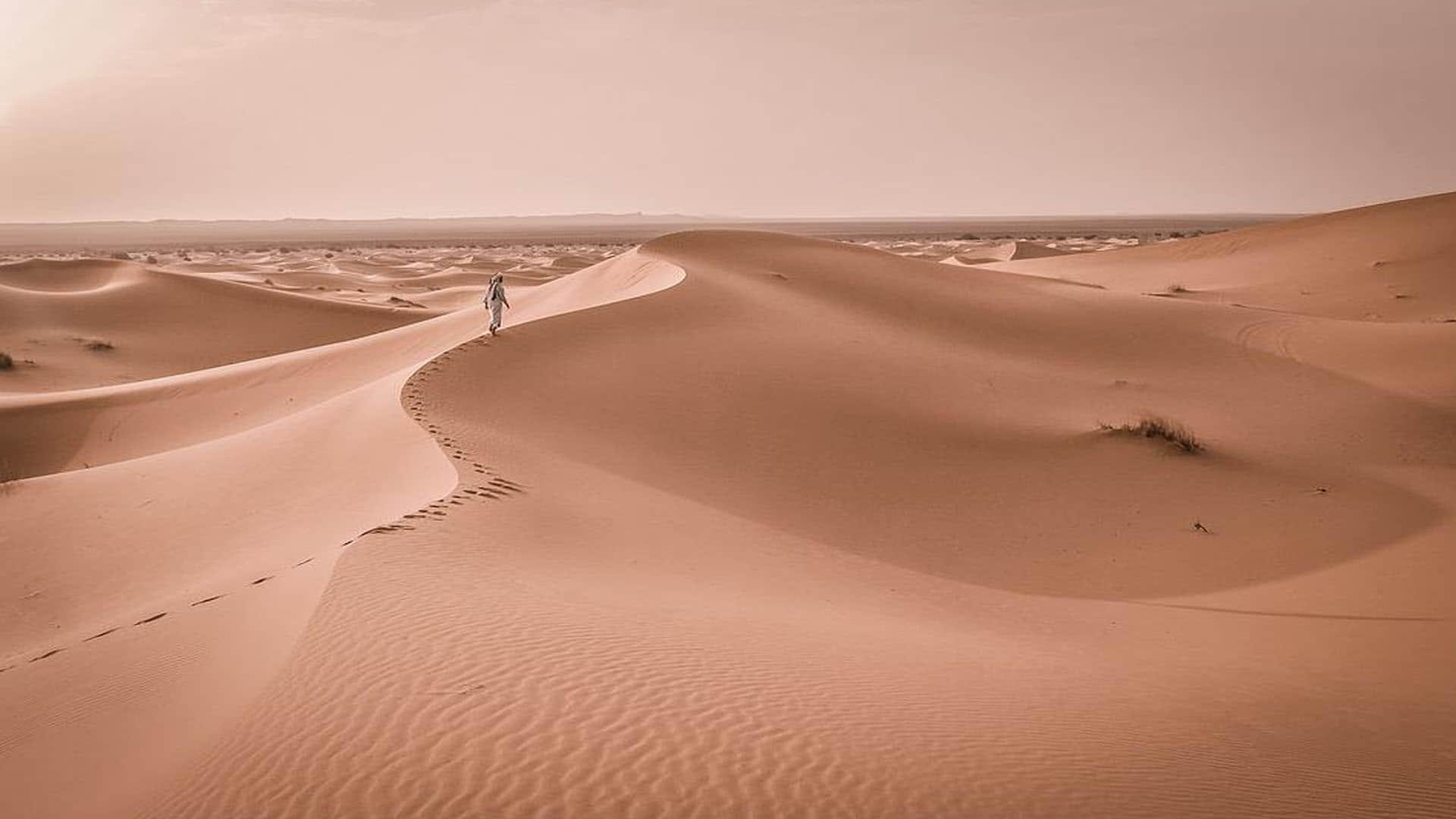 World’s Hottest Place Where People May Die Due To Extreme Hot Weather News In Hindi