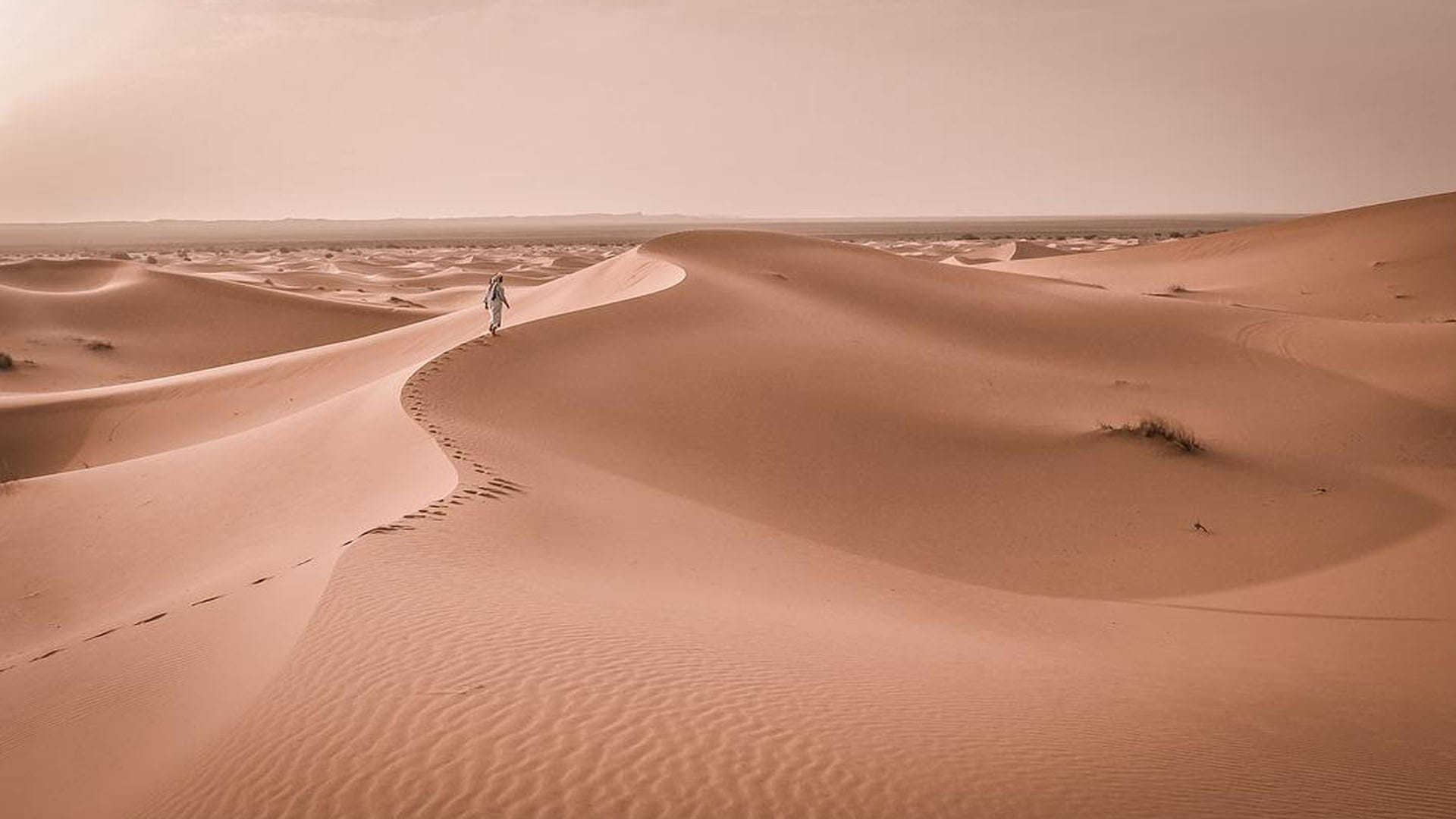 World’s Hottest Place Where People May Die Due To Extreme Hot Weather News In Hindi