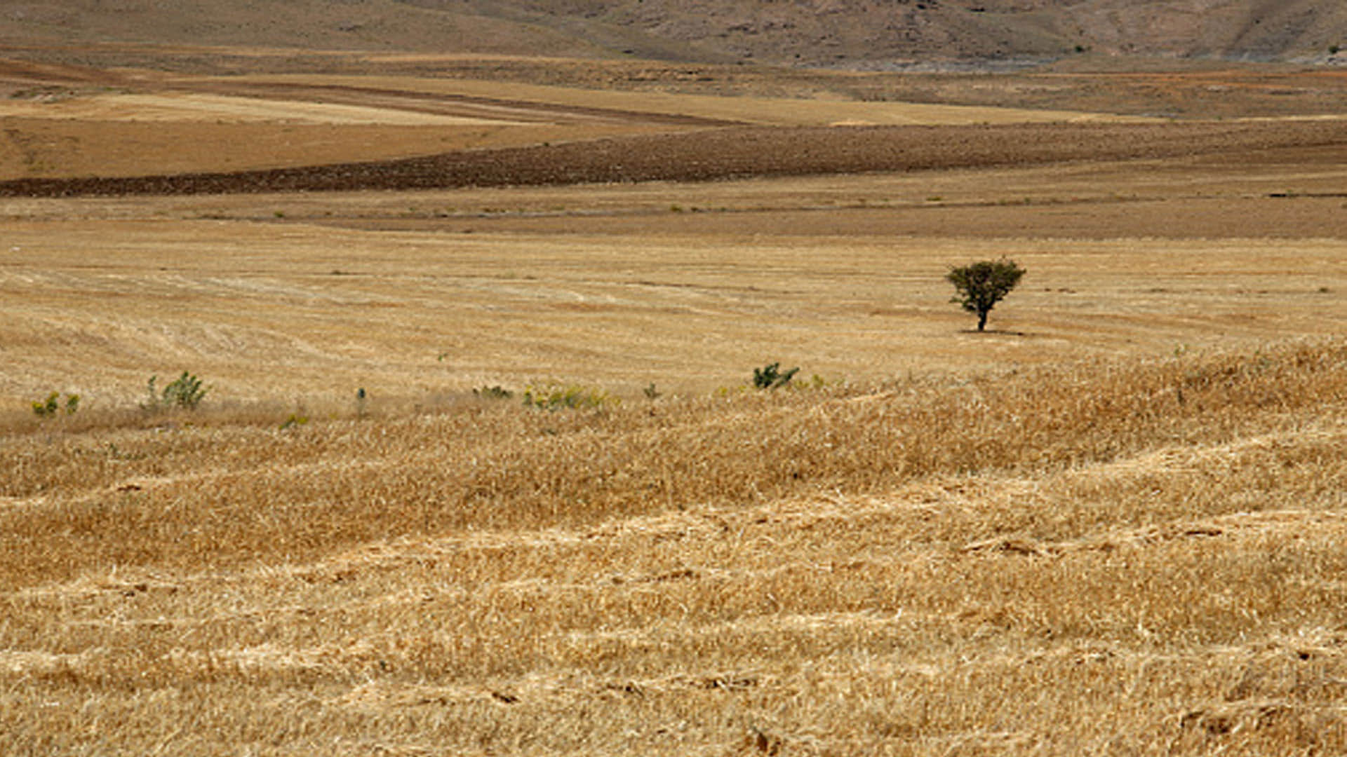 World’s Hottest Place Where People May Die Due To Extreme Hot Weather News In Hindi