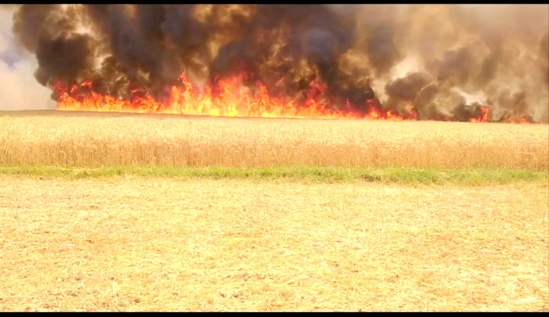 200 bighas of crop burnt to ashes in Auraiya, farmers desperate to see the loss
