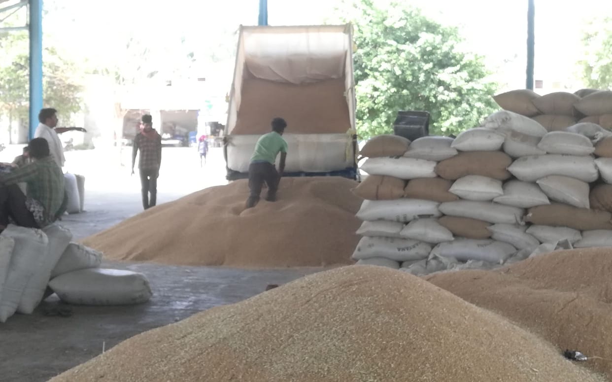 Even after 19 days, not a single farmer reached to sell wheat at 5 centers