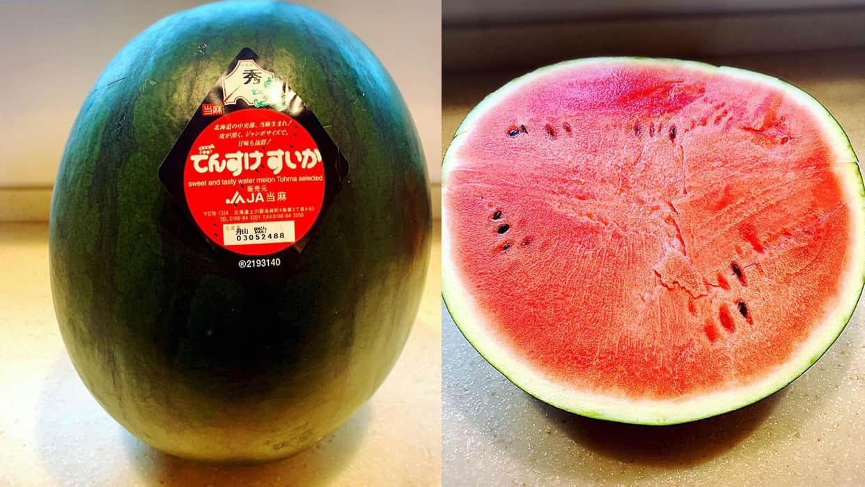 worlds most rare and expensive densuke black watermelon