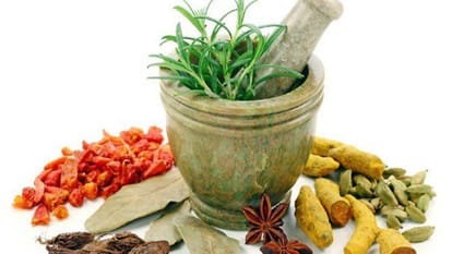 WHO GCTM Global Center for Traditional Medicine India Could be Game Changer Know All About News in Hindi
