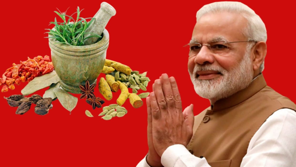 WHO GCTM Global Center for Traditional Medicine India Could be Game Changer Know All About News in Hindi