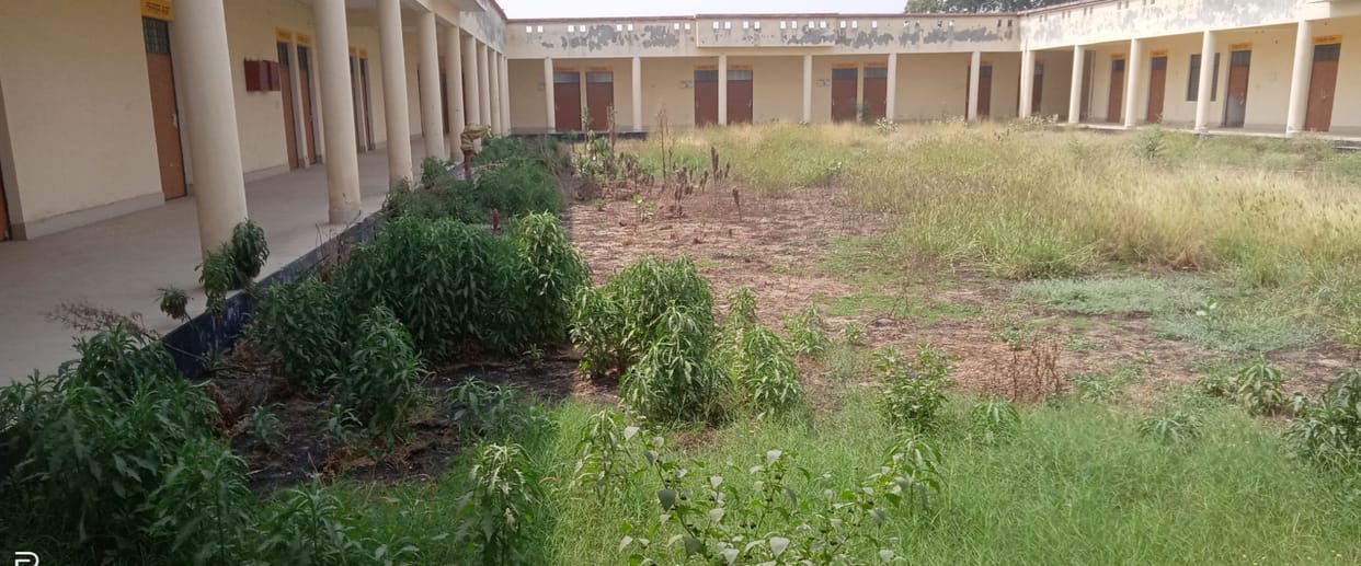 Saraswati's debut could not happen in the courtyard of education