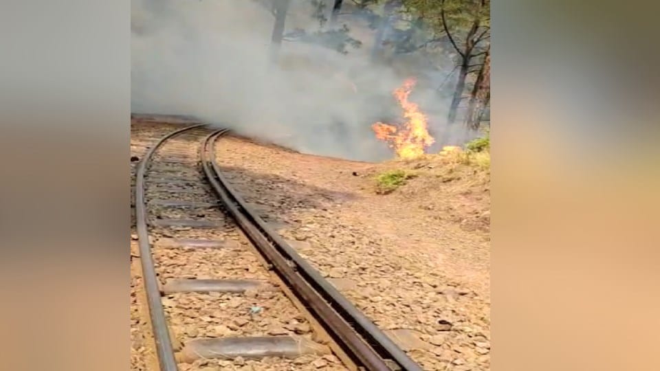 Tree fell on railway track, train halted for two and a half hours in solan