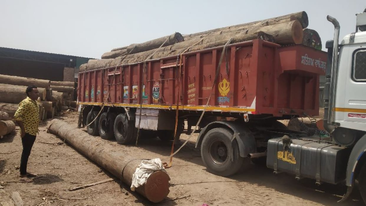 Two died due to being buried under heavy wood While unloading wood from the truck in Sirsa