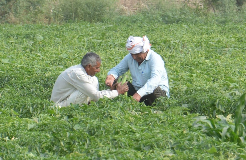 The measurement could not be done in Yamuna Khadar