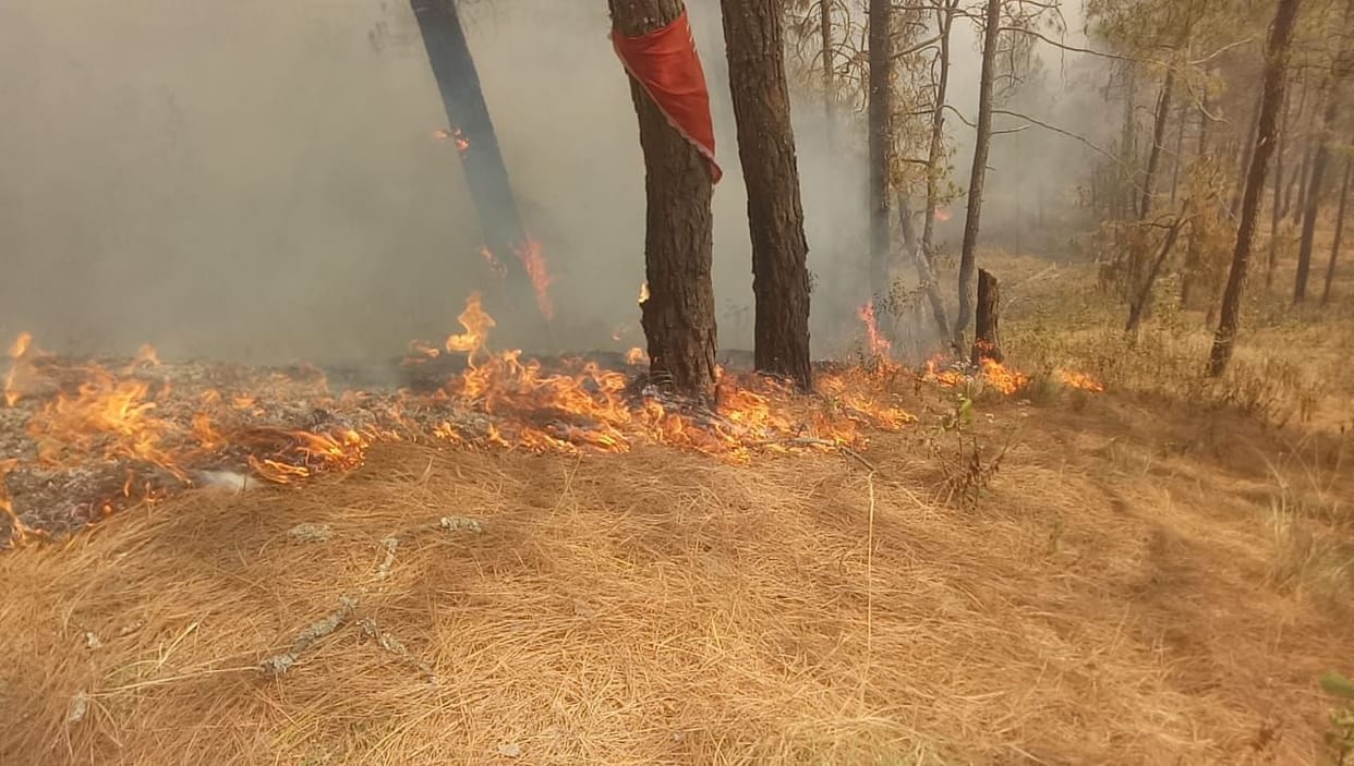 Forest Fire in Barakot