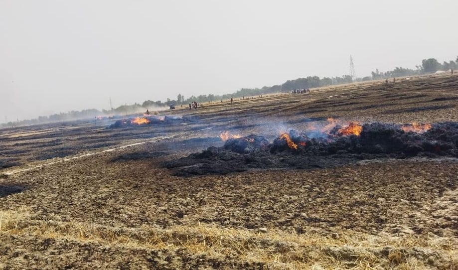 hardoi news,More than 100 acres of wheat crop ashes due to fire