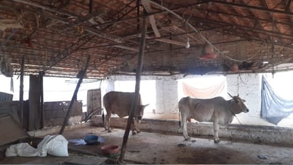 Jabalpur: Big action of administration against land mafia, encroachment free government land worth Rs 14 crore