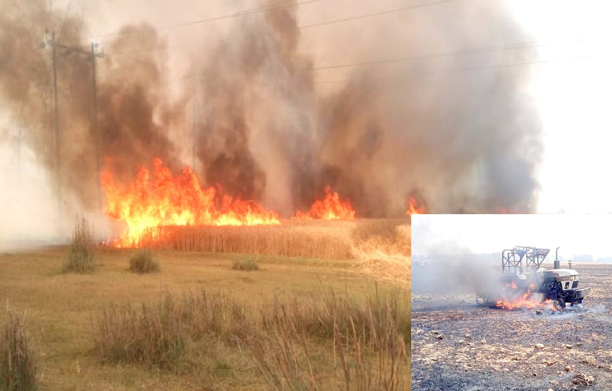 Massive fire in wheat fields in Auraiya, hundreds of bighas of crop burnt to ashes