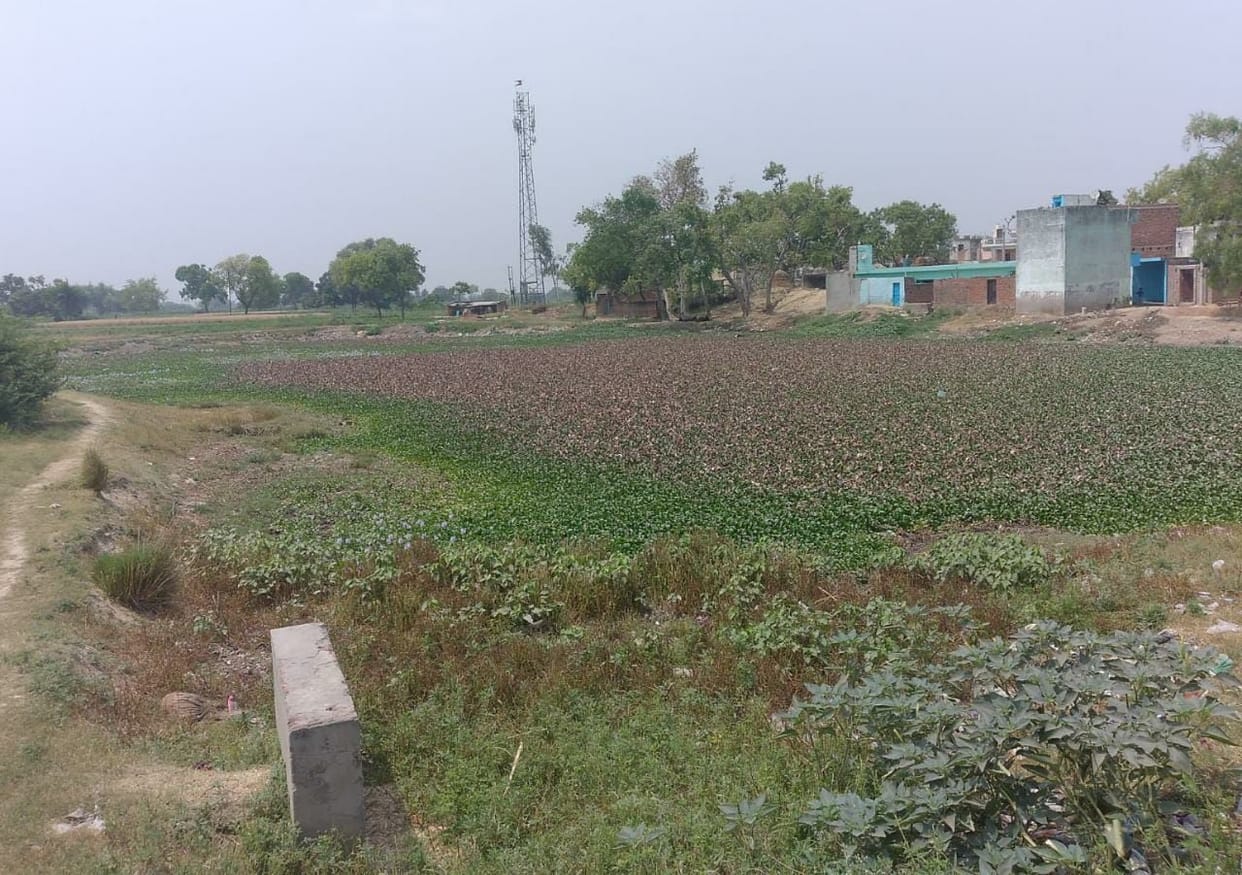 The ponds are dry even in the scorching heat, neither the water filled nor the cleaning done