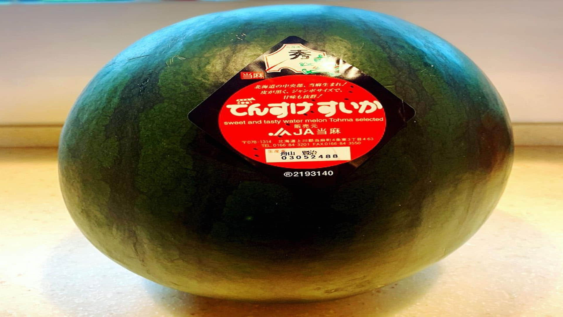 worlds most rare and expensive densuke black watermelon