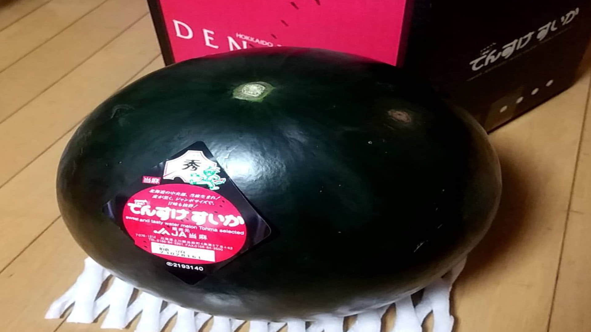 worlds most rare and expensive densuke black watermelon