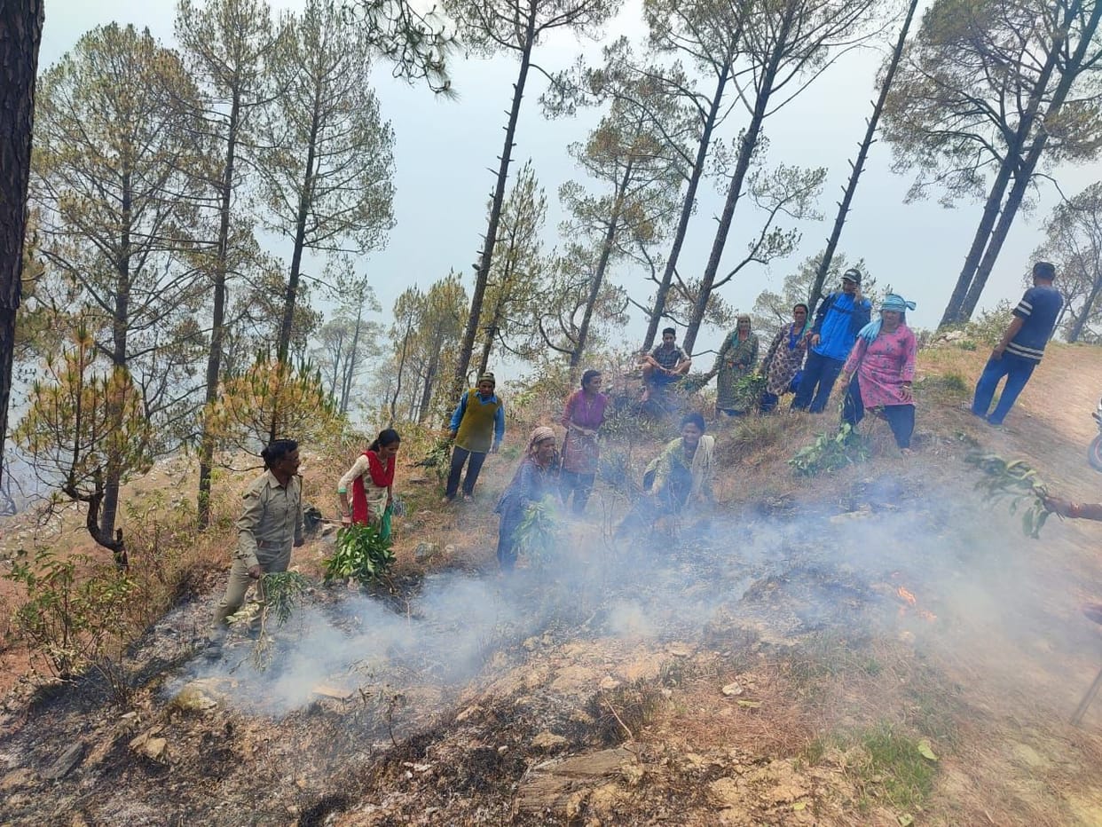 Forest Fire in Pithauragarh