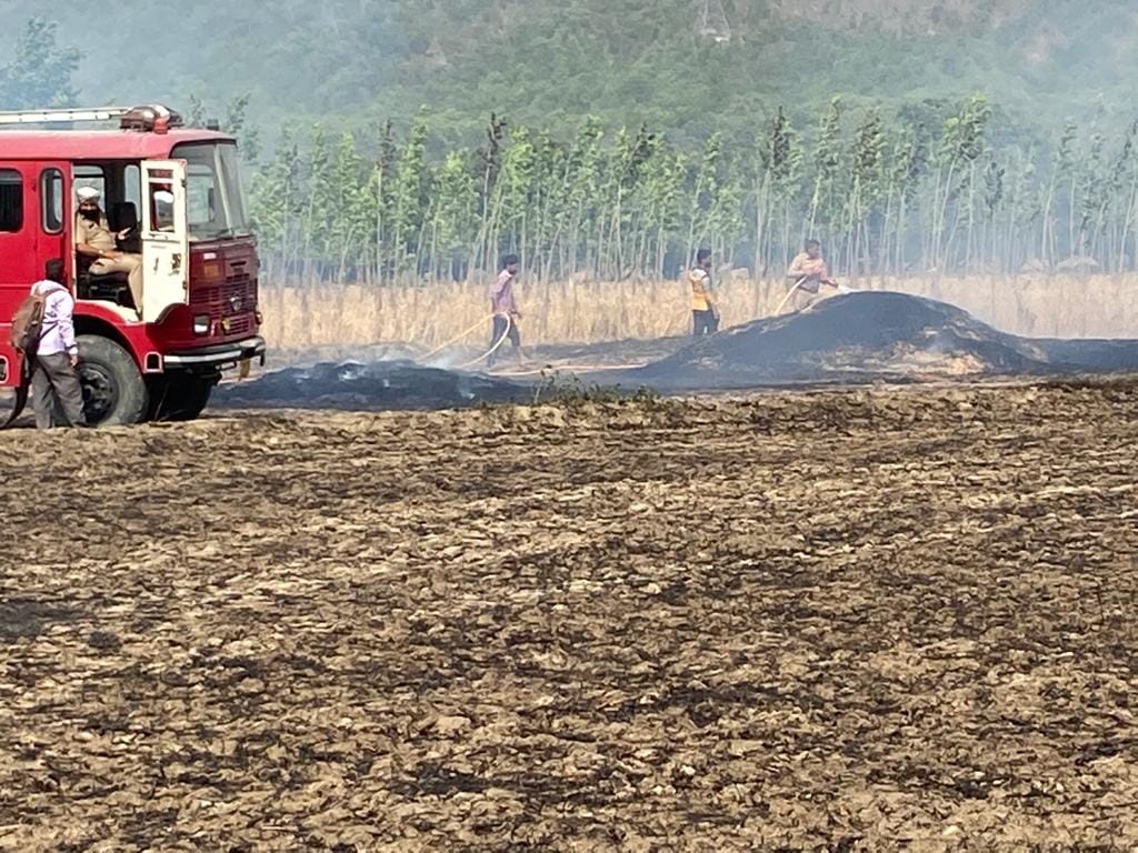 wheat crops burnt in 200 bigha land in bahraal panchyat  ponta sahib