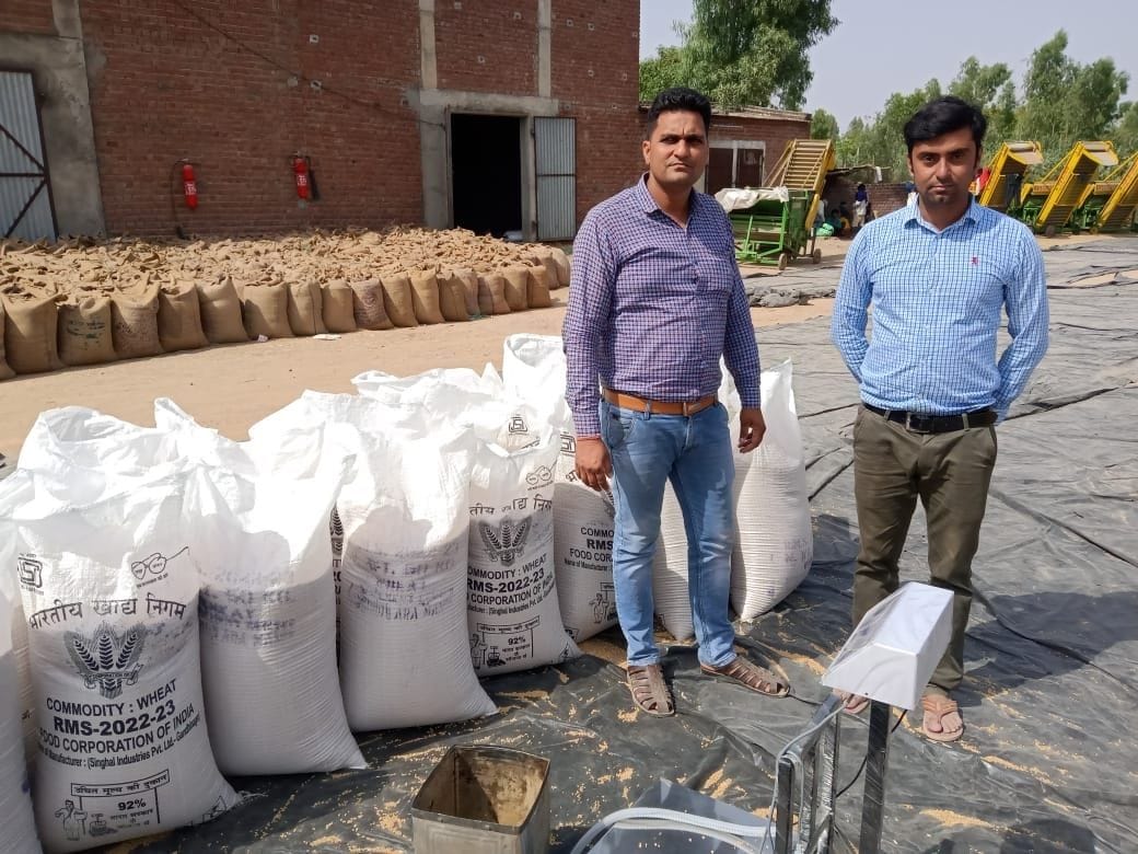 wheat crop purchase
