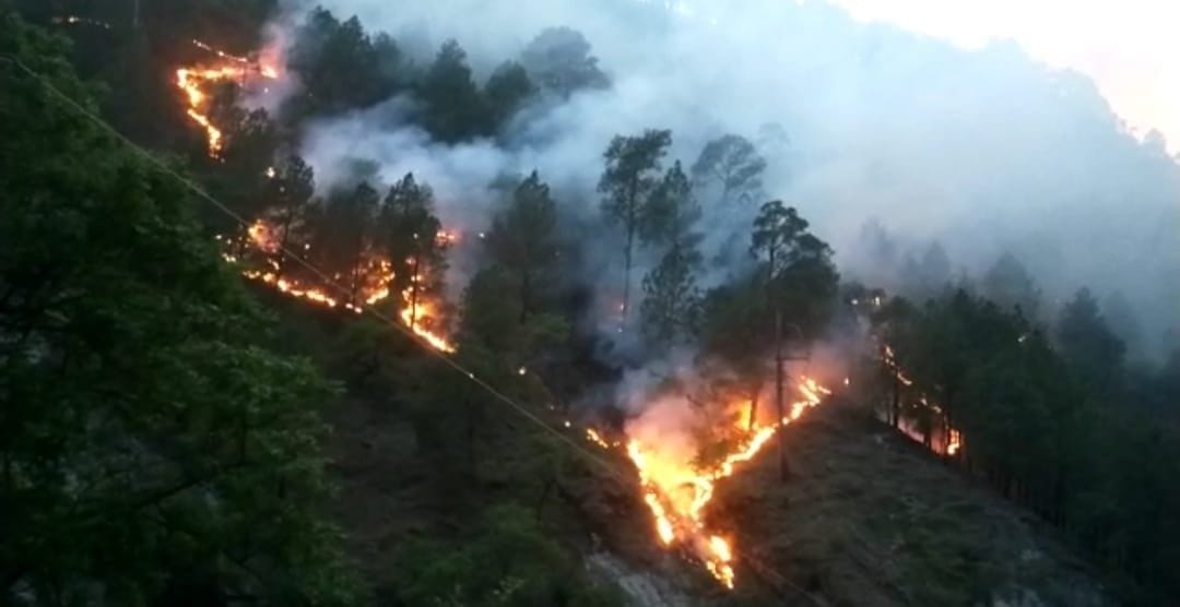 A fierce fire broke out in Gulu Nala forest
