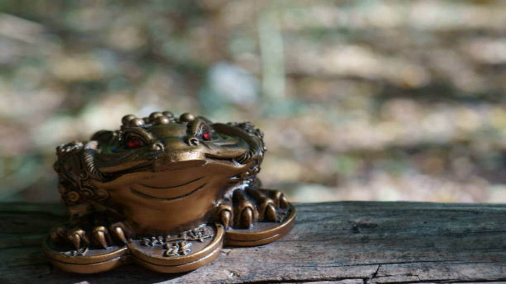 Feng Shui Tips for Money and Success Must Try These Feng Shui Upay News in Hindi