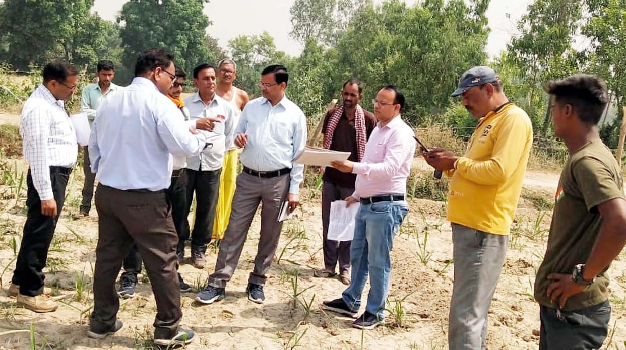 DCO inspected the sample survey