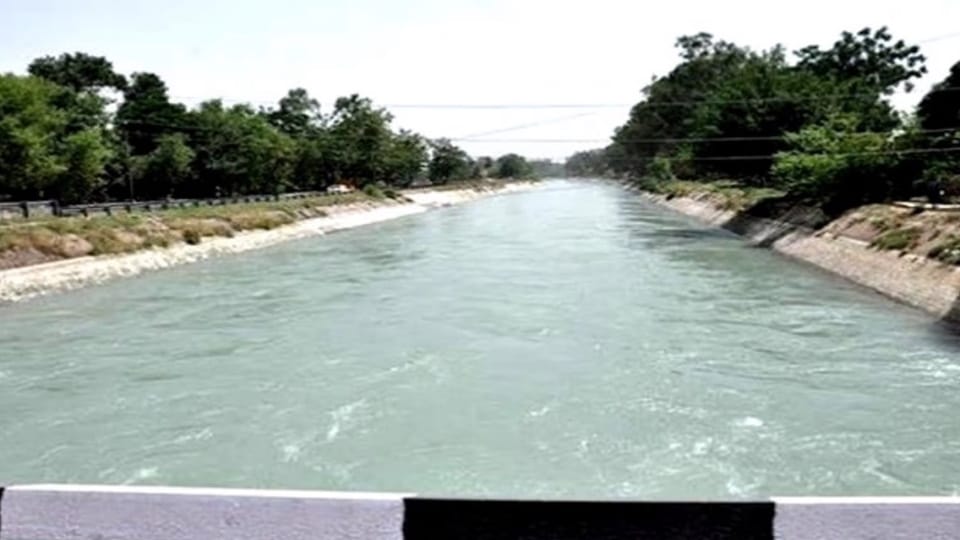 Farmer commits suicide by jumping into canal in Patiala