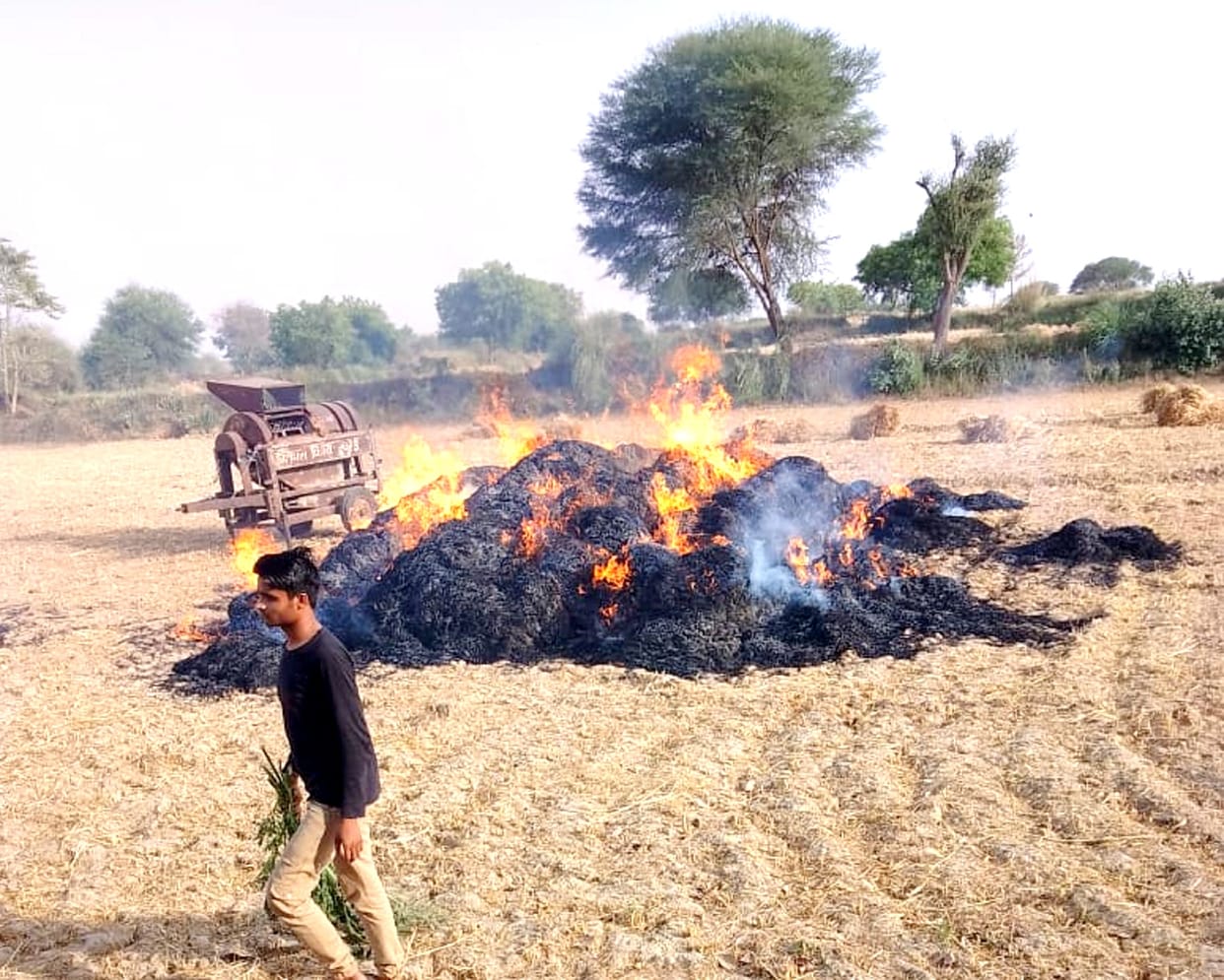 Due to unknown reasons in Jalaun, crop harvested in 5 bighas was burnt to ashes