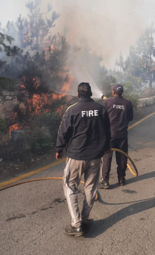Forest Fire At Five Houses