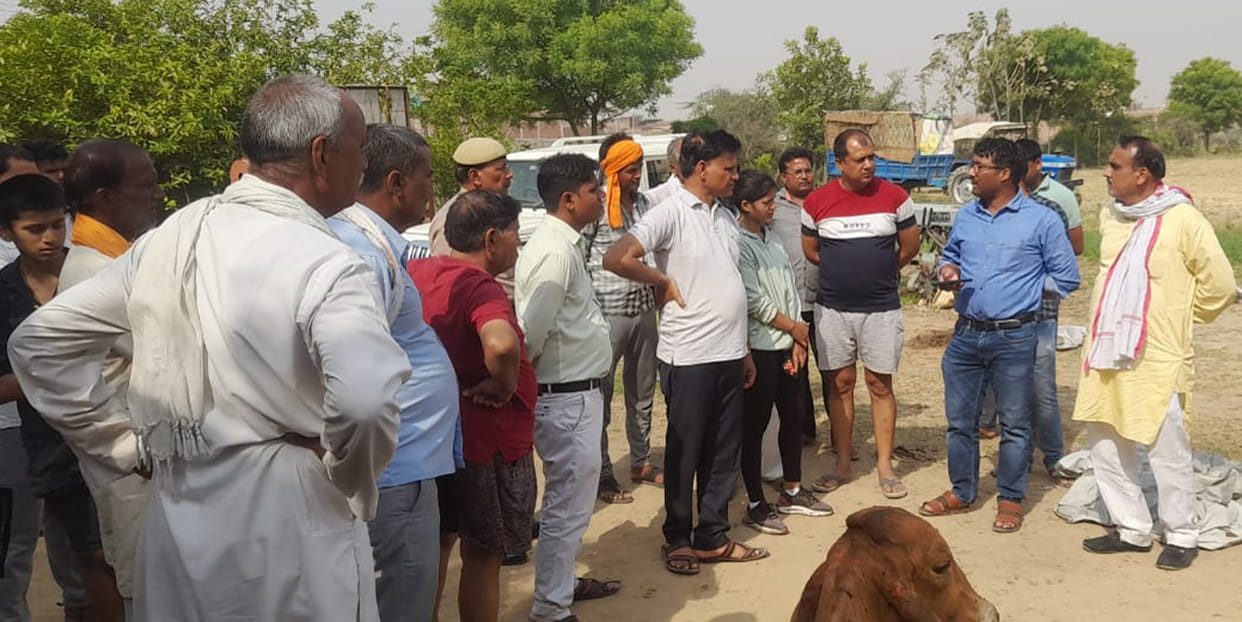Fire in animal enclosure, three animals burnt to death