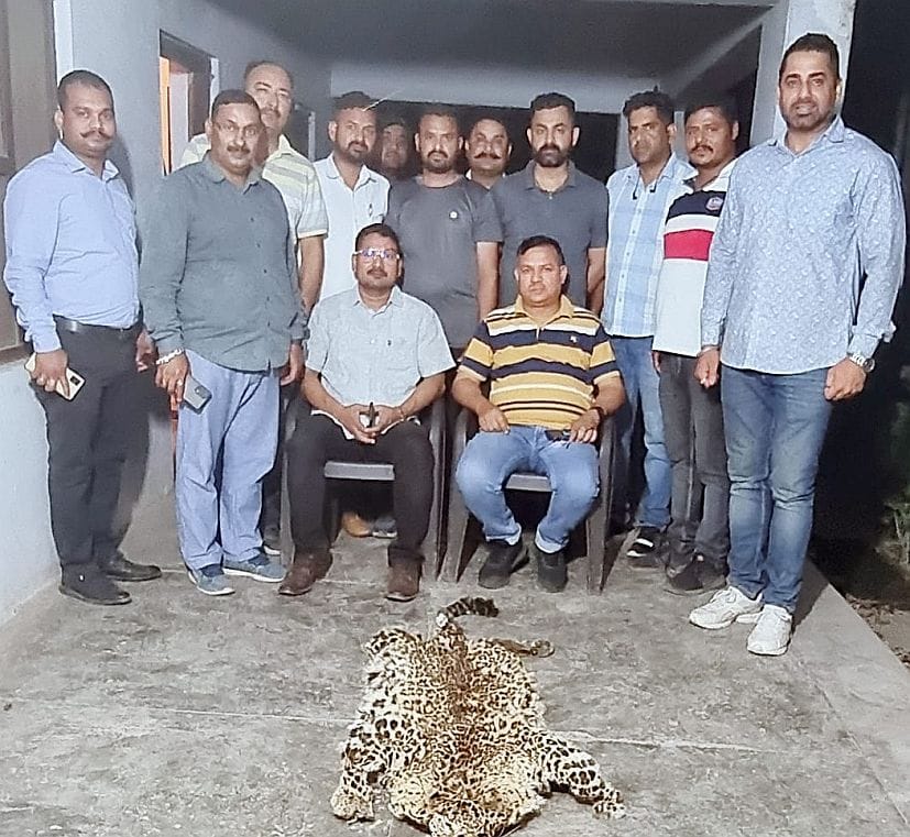 STF arrested the smuggler with the skin of Guldar