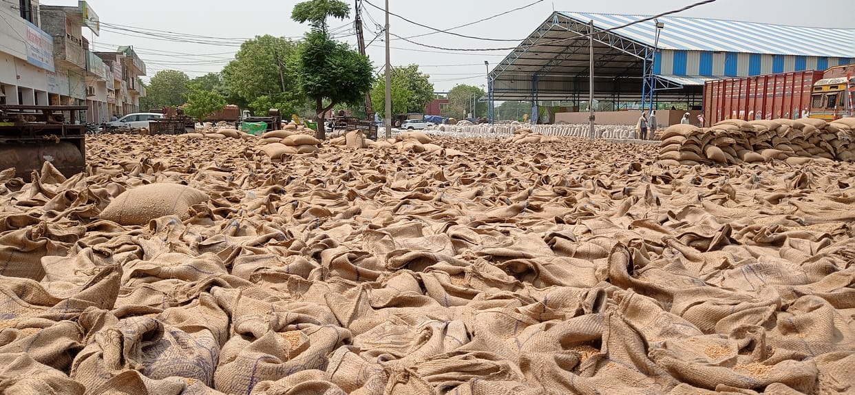 Arhti, farmers upset due to non-lifting of wheat, Kurukshetra