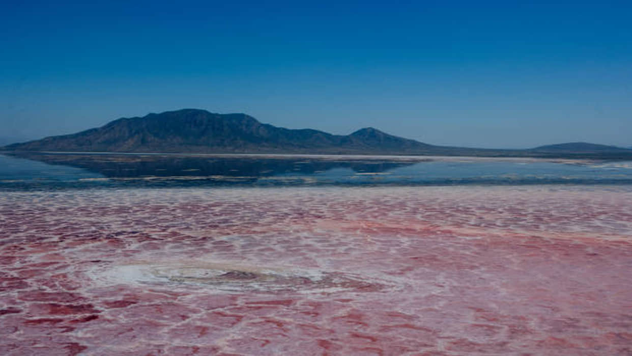 Lake Natron: This is World's Most Dangerous Lake On Jump Become Stone Into It News in Hindi