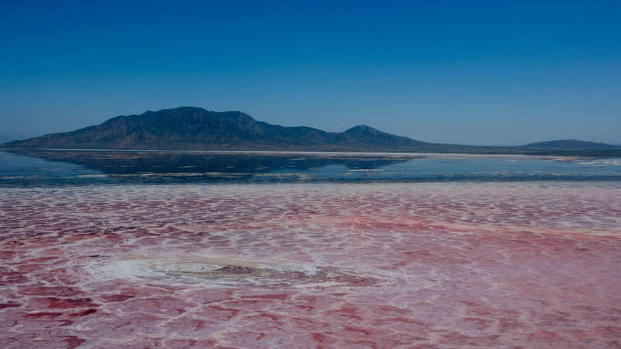 Lake Natron: This is World's Most Dangerous Lake On Jump Become Stone Into It News in Hindi