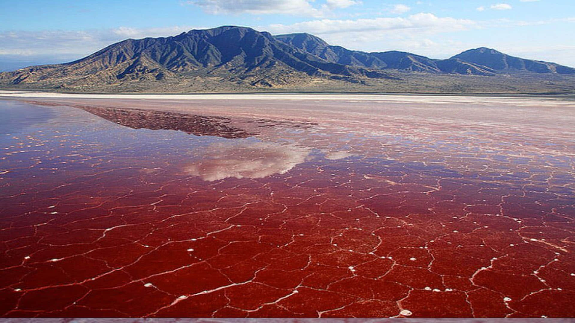 Lake Natron: This is World's Most Dangerous Lake On Jump Become Stone Into It News in Hindi