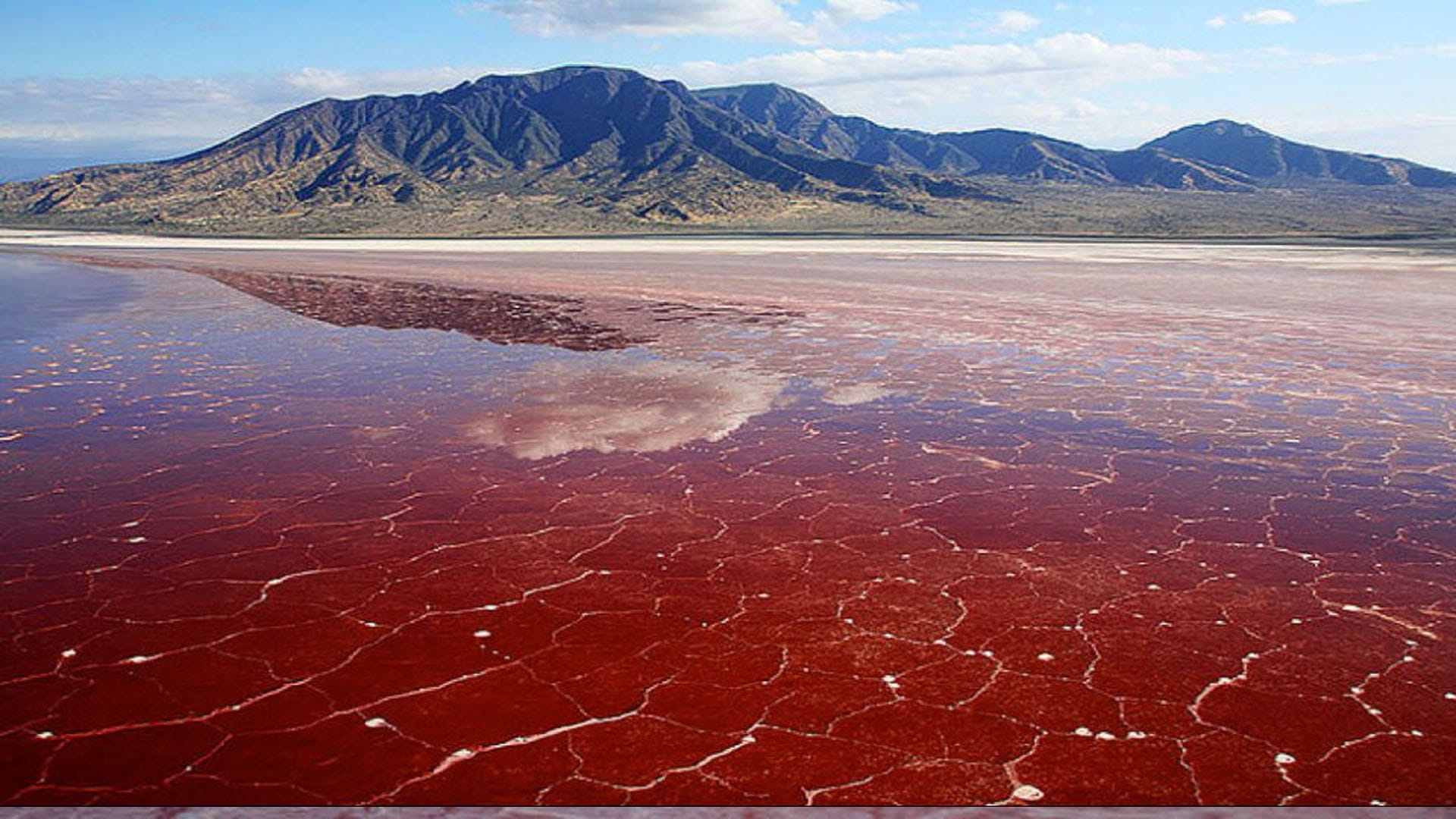 Lake Natron: This is World's Most Dangerous Lake On Jump Become Stone Into It News in Hindi
