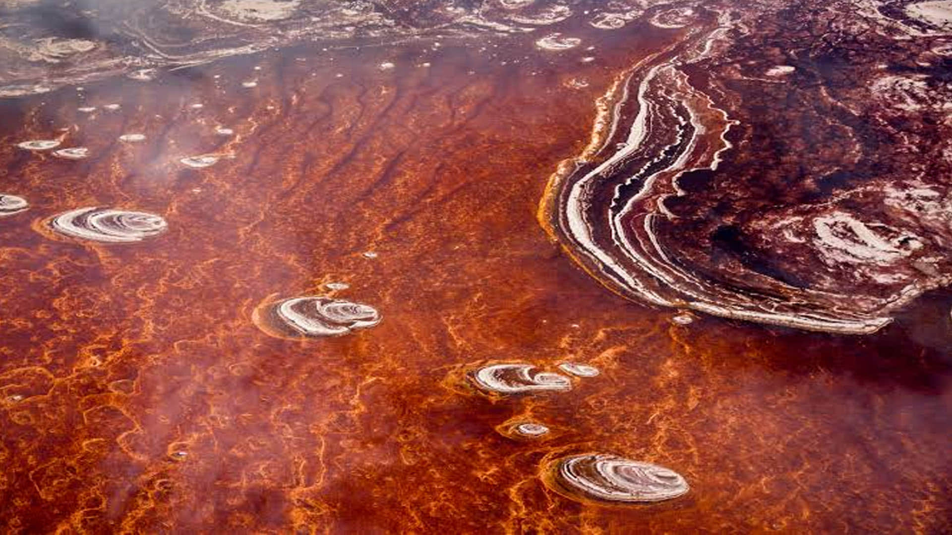 Lake Natron: This is World's Most Dangerous Lake On Jump Become Stone Into It News in Hindi