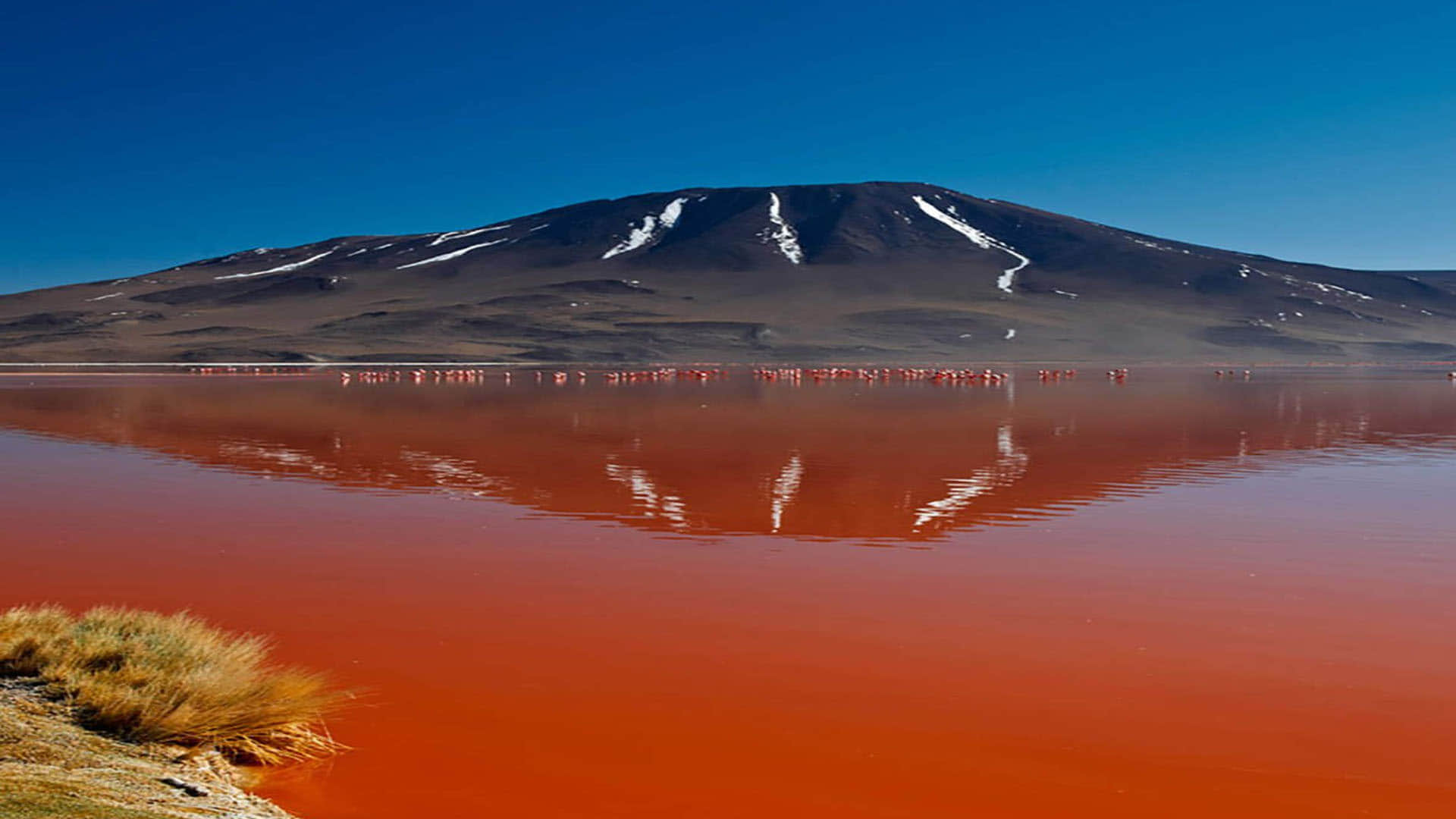 Lake Natron: This is World's Most Dangerous Lake On Jump Become Stone Into It News in Hindi