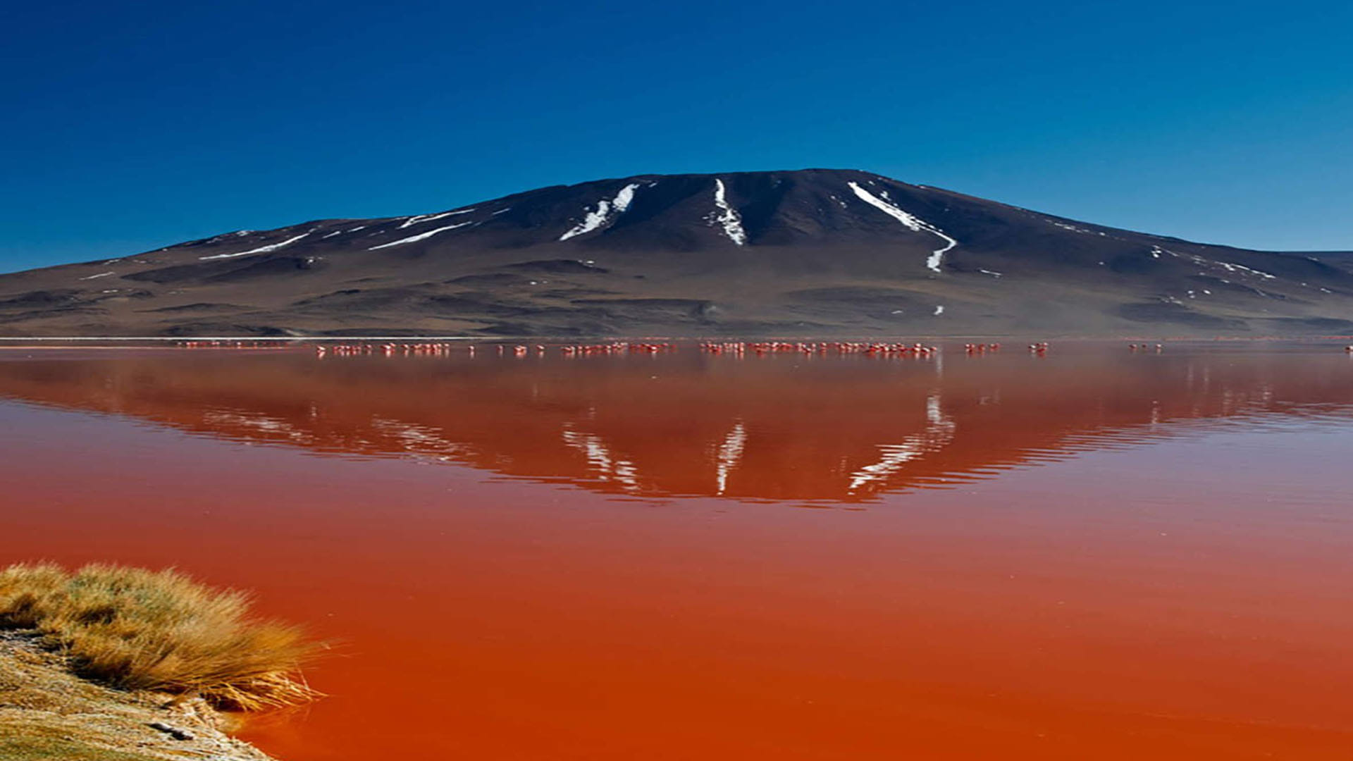 Lake Natron: This is World's Most Dangerous Lake On Jump Become Stone Into It News in Hindi
