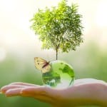 World Earth Day 2024