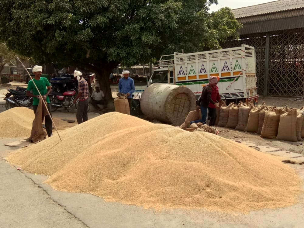 Farmers disillusioned with government centers, agent purchases increased