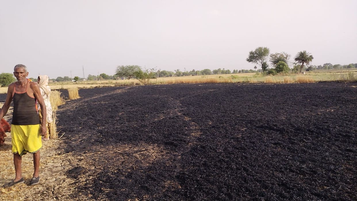 Seven bighas of wheat crop ashes due to electric spark